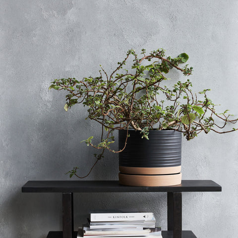 Aston Stoneware Planters