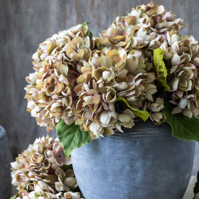 Dusk Hydrangea - Design Vintage