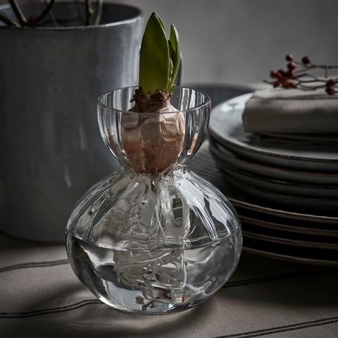 Glass Bud Vase