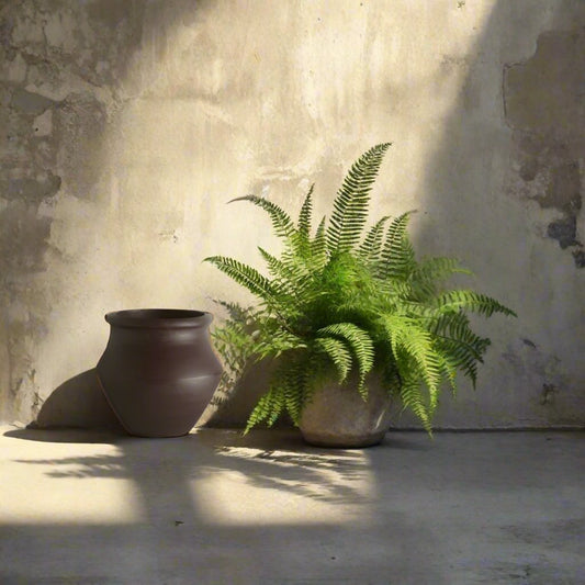 Dark Grecian Pot