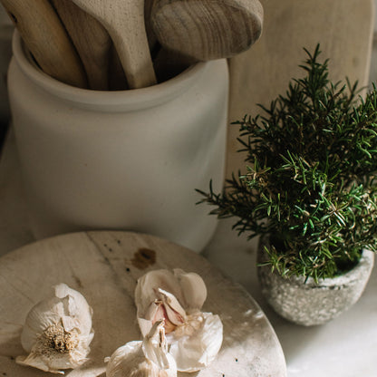 Rosemary in Clay Pot - Design Vintage