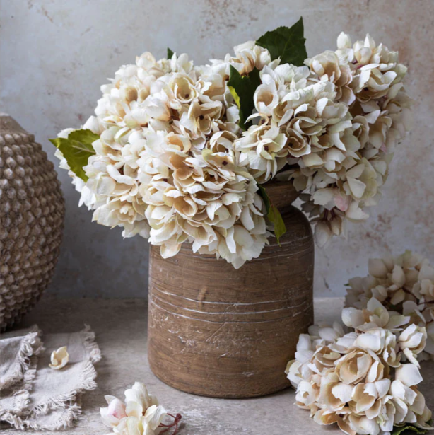 Morning Mist Hydrangea - Design Vintage