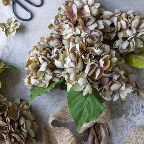 Dusk Hydrangea