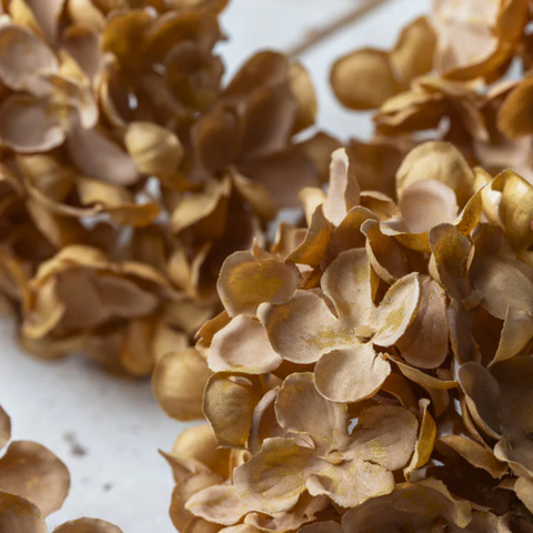 Walnut Hydrangea Stem