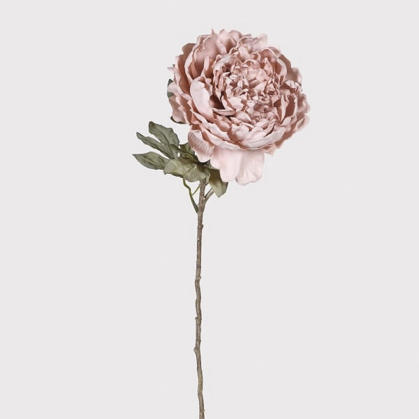 Dusky Peony Stem - Design Vintage