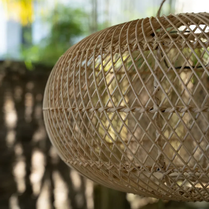 Hani Rattan Lampshade