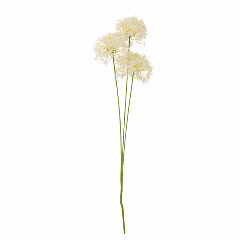 White Allium Spray