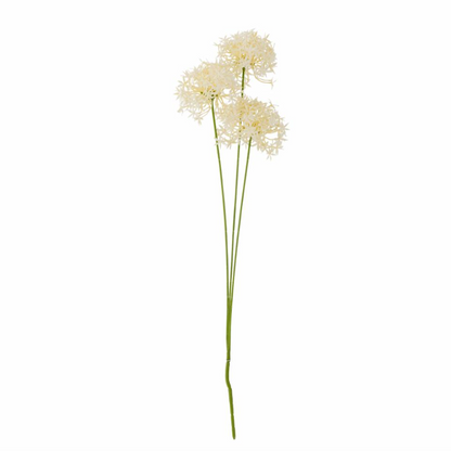 White Allium Spray