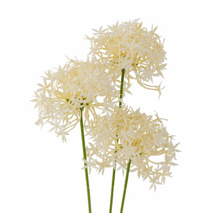 White Allium Spray