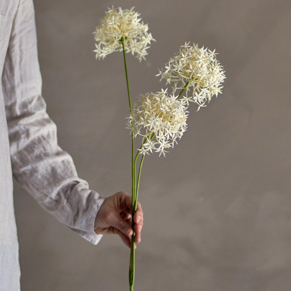 White Allium Spray