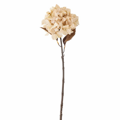 Natural Hydrangea Stem