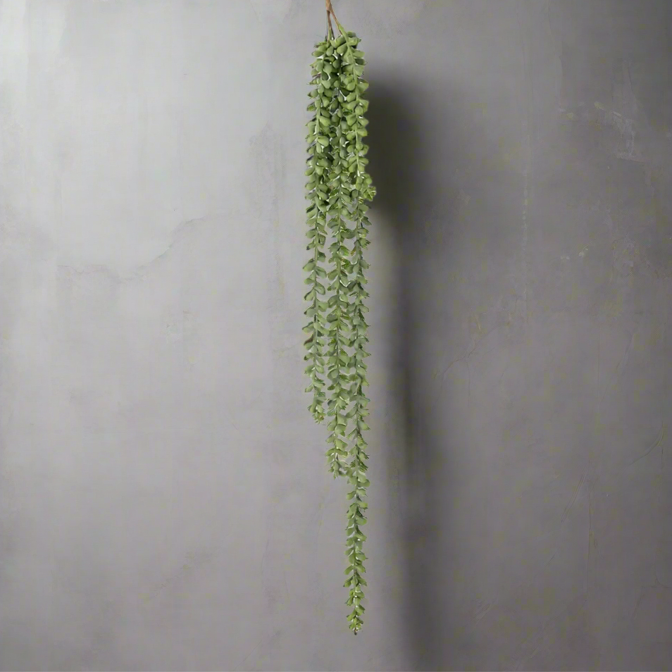 Trailing String of Pearls