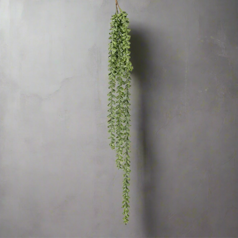 Trailing String of Pearls