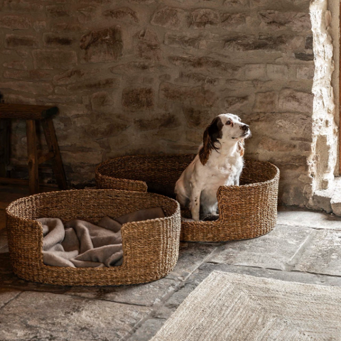 Seagrass Dog Bed