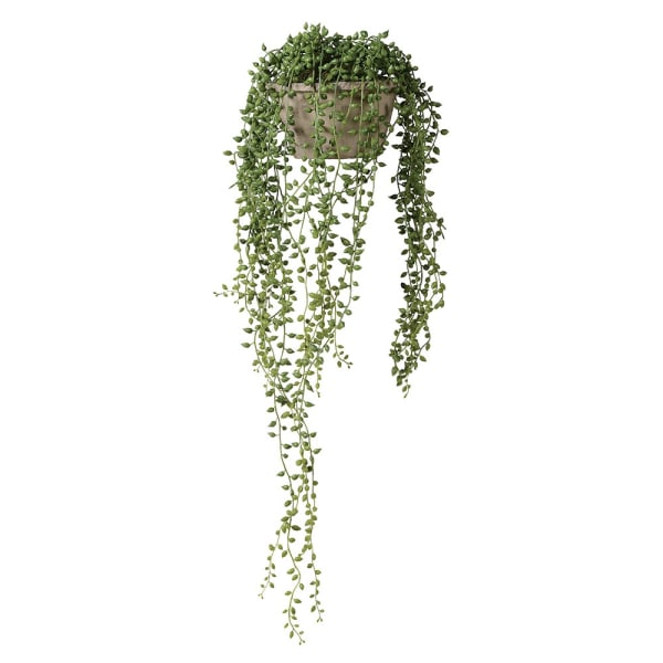 Faux String of Pearls Plant