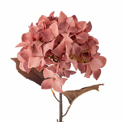 Rose Hydrangea Stem