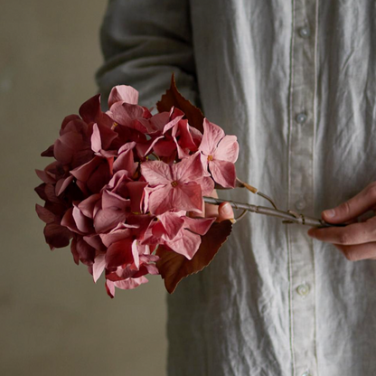 Rose Hydrangea Stem