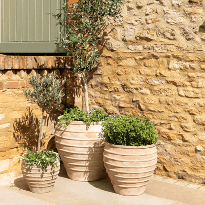 Aged Terracotta Planters