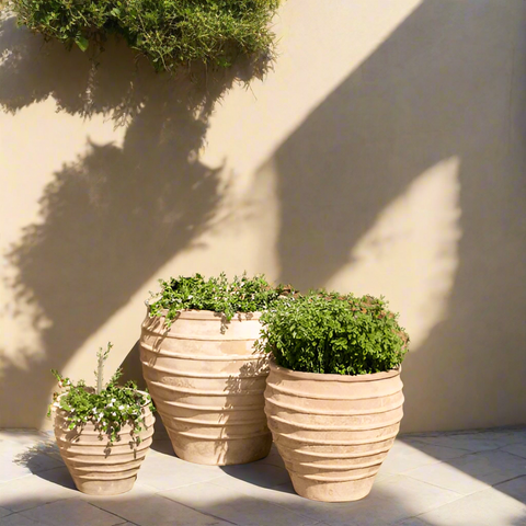 Aged Terracotta Planters