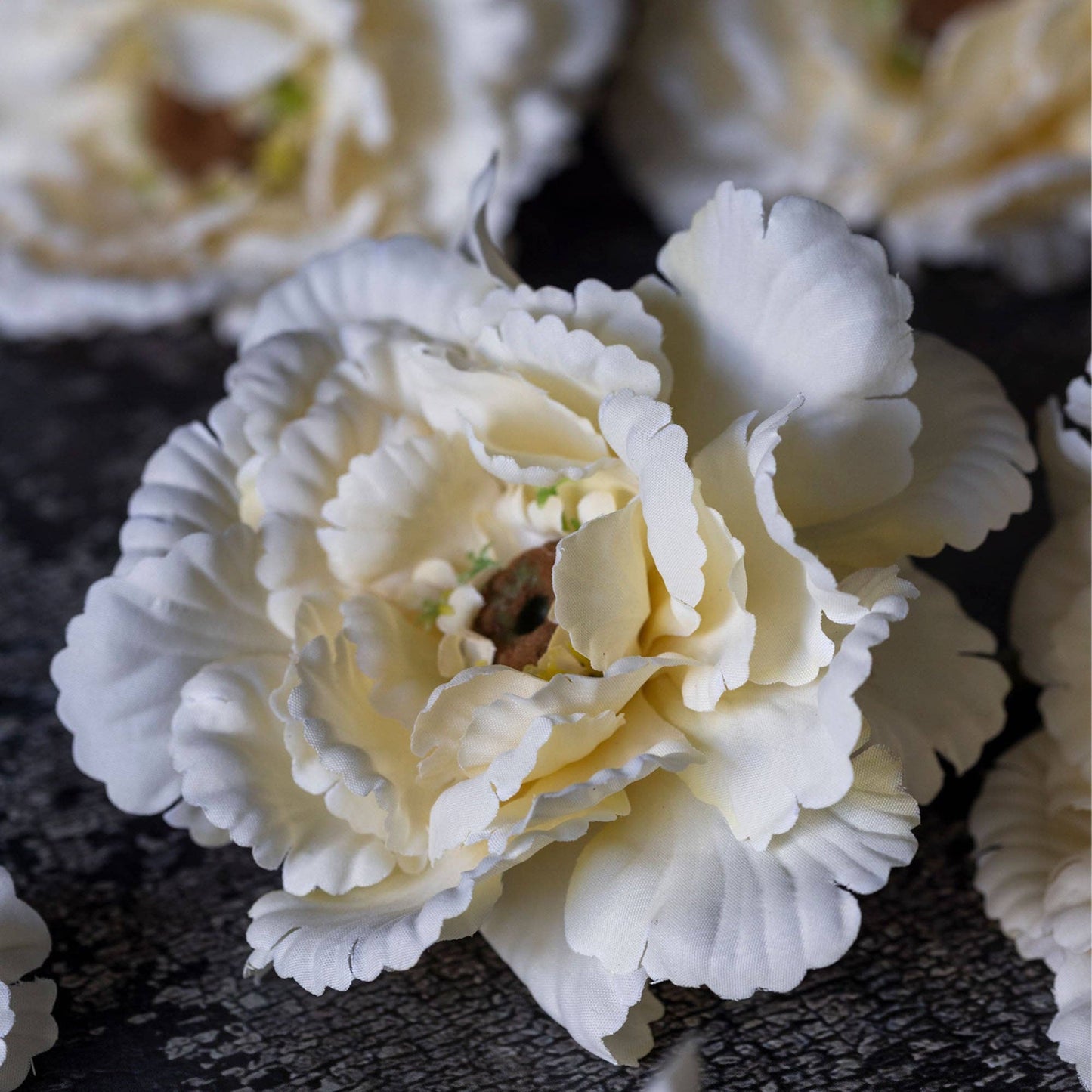 Garden Lace Peony