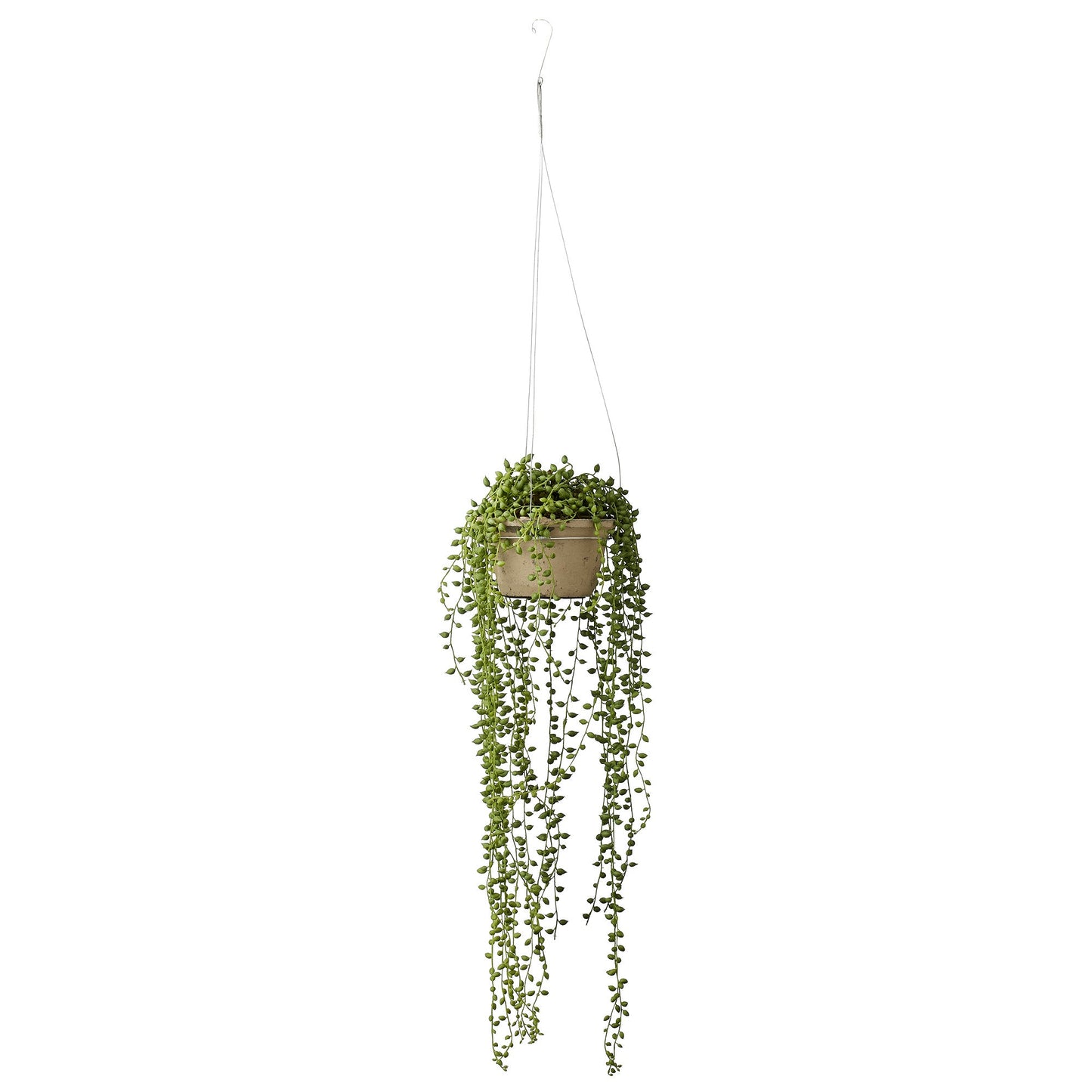 Faux String of Pearls Plant - Design Vintage